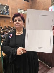 Dinorah Barquero Meme Template
