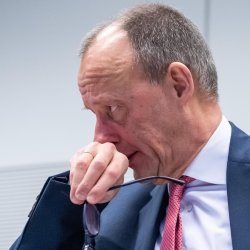 Sad Friedrich Merz Meme Template