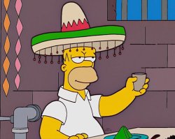 Homer sombrero Meme Template