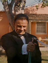 Pulp Fiction Wolf Meme Template