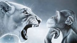 Angry Lion vs Chill Monkey Meme Template