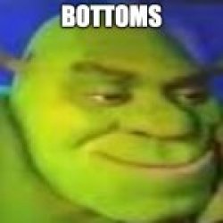 shrek shitpost Meme Template