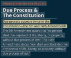 Due Process & the Constitution Meme Template