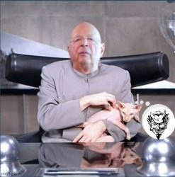 Klaus Schwab is Blowfeld Meme Template