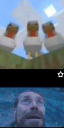 The council Meme Template
