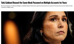 Tulsi Gabbard, US director of national Stupidity Meme Template
