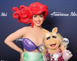 Katy Perry & miss piggy Meme Template