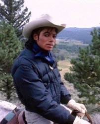 cowboy-michael Meme Template