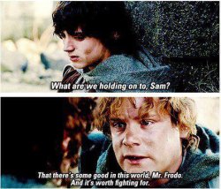 What are we holding on to, Sam? Frodo Meme Template