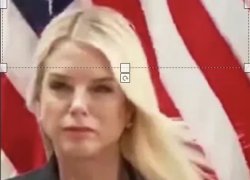 Pam Bondi Squinting Meme Template