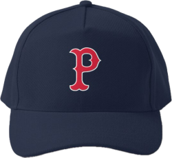 Paw Sox hat Meme Template