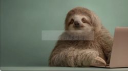 slothkam4 Meme Template