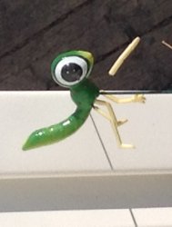 Dragonfly Meme Template