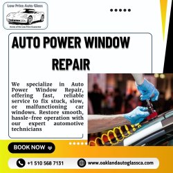 Auto Power Window Repair Meme Template