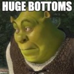 shrek shitpost 4 Meme Template