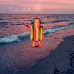 snapchat hotdog Meme Template