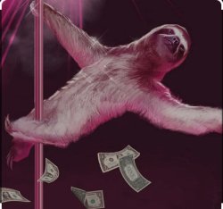 SLOTH KAM 5 Meme Template