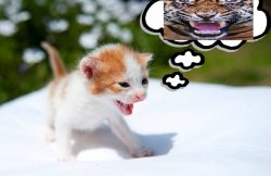 Raaahh I'm so big and scary raaahhh Meme Template