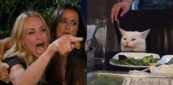 Real Housewives woman yelling, cat at table Meme Template