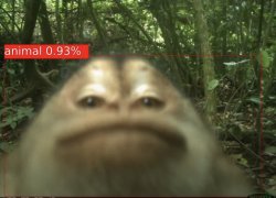 AI Animal... Meme Template