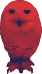 red owl Meme Template