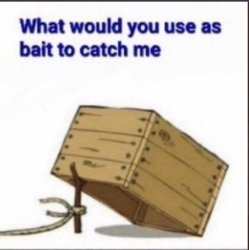 Bait used to catch blank template Meme Template