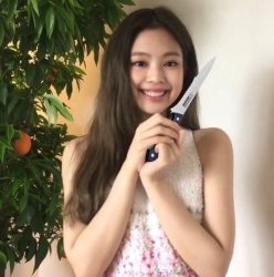 Blackpink knaifu Meme Template
