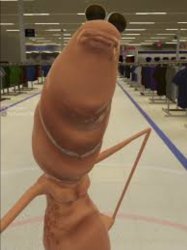 Marcus the worm Meme Template