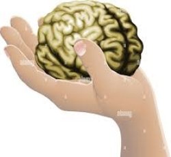 Brain Meme Template