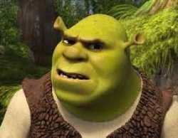 Confused Shrek Meme Template