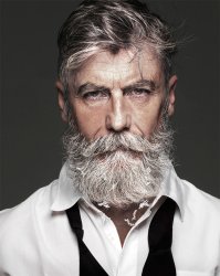 Grey hair glow up. Meme Template