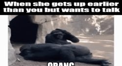 Monke Meme Template