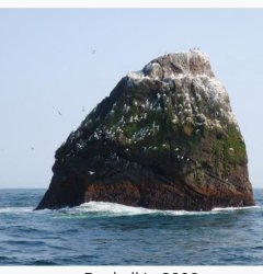 Rockall that Floats Meme Template