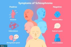 Schizophrenia symptoms Meme Template