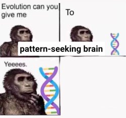 Evolution can you give me pattern seeking brain Meme Template
