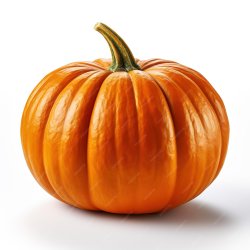 Pumpkin Meme Template