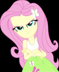 Angry Fluttershy Meme Template