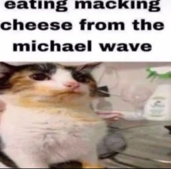Eating Macking cheese Meme Template