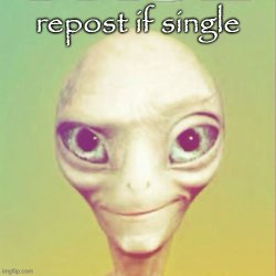 repost if single Meme Template