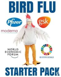 Bird Flu Bill Gates Meme Template