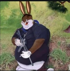 gun chungus Meme Template