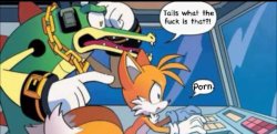 tails wtf is that? porn Meme Template