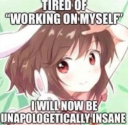 unapologetically insane Meme Template