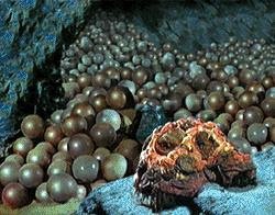 Horta with eggs Meme Template