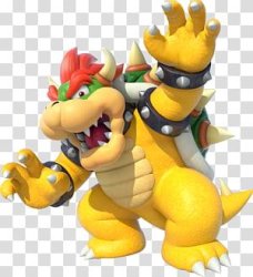 Lord Bowser Meme Template