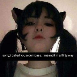 Sorry i called you a dumbass Meme Template