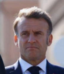 Macron Discusted Meme Template