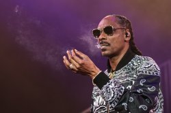 Snoop Dog smoking Meme Template