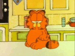 Garfield "Meh" Meme Template