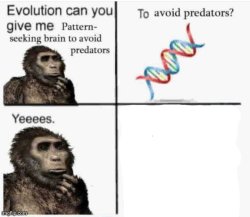Evolution can you give me pattern seeking brain to avoid predato Meme Template